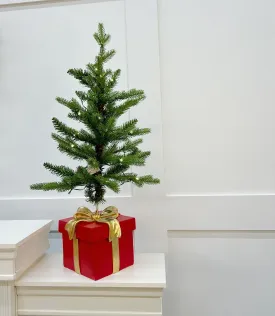 2 FT Allison Pine Pottable Tree With Red Gift Box Base